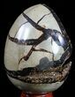 Septarian Dragon Egg Geode - Black Crystals #54555-1